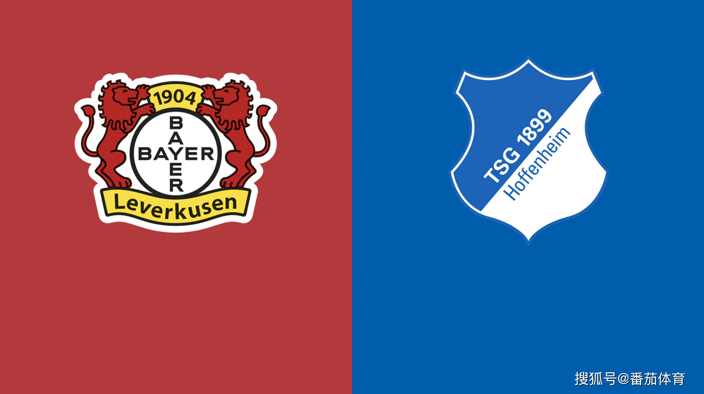 霍芬海姆取得胜利，冲击前列位置的简单介绍