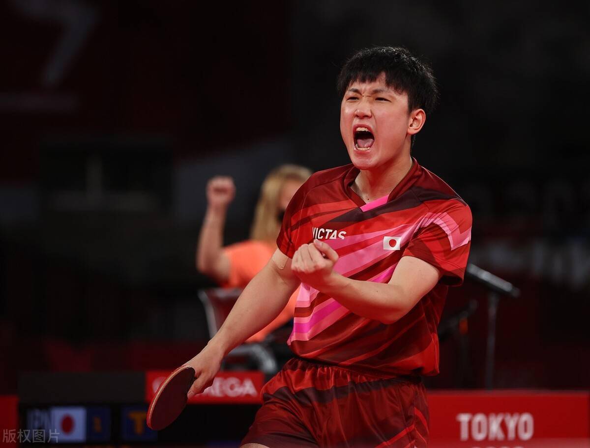 日本乒乓球队碾压波兰乒乓球队，波尔爆发神勇的简单介绍
