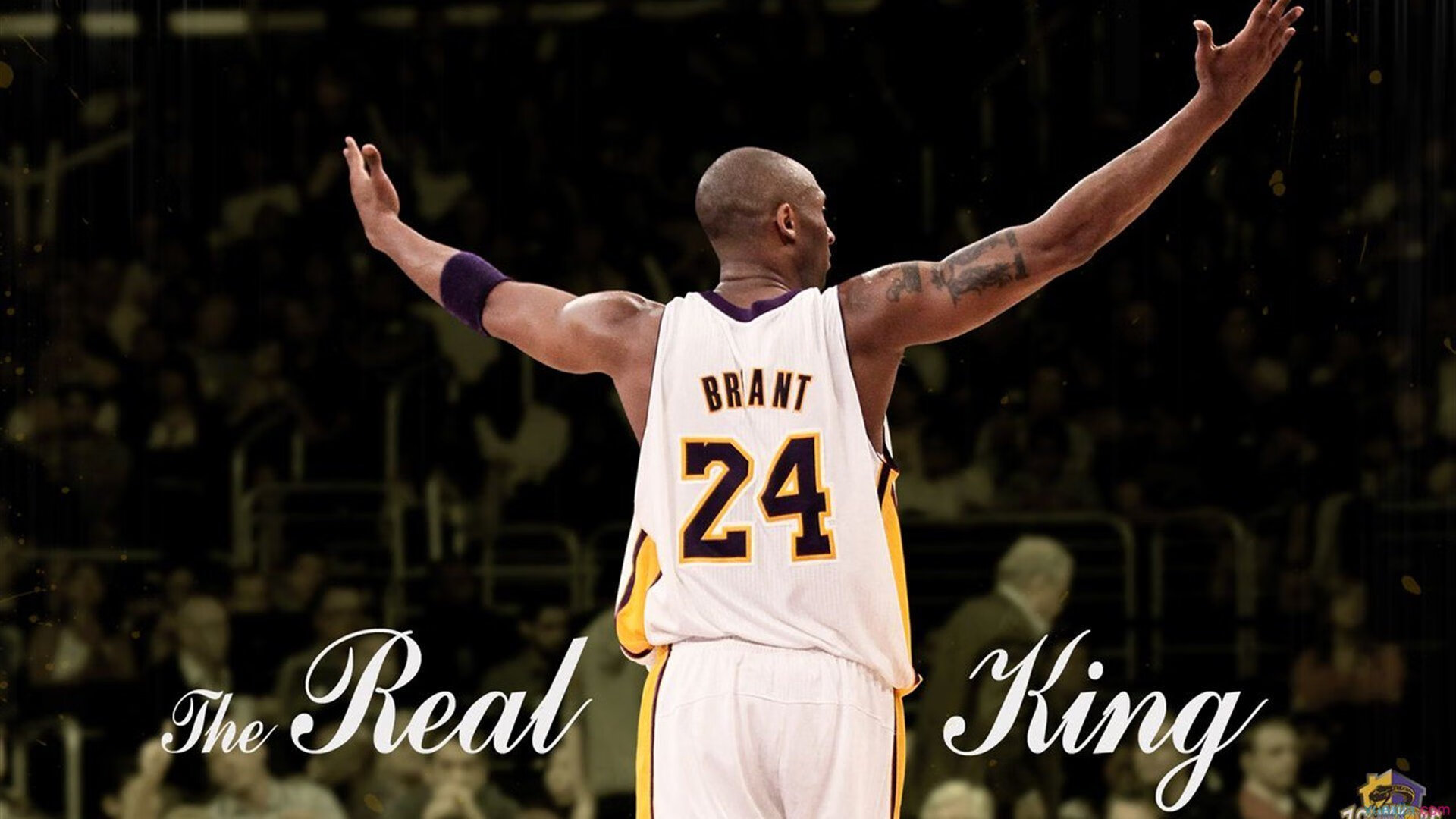 塞内加尔对阵荷兰，坎特一锤定音，非洲雄狮撼动郁金香